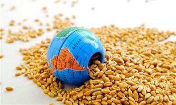 رغم ارتفاع الحبوب..أسعار الغذاء العالمية تتراجع للشهر السابع
