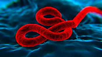 عالم أمريكي يعتقد أن فيروس "إيبولا" تسرب من مختبر تموله الولايات المتحدة