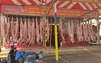 محافظ بورسعيد: توافر اللحوم البلدي بسعر 130 جنيها بمنافذ مشروع الإنتاج الحيواني