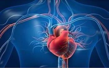 دراسة : زيادة الحديد عامل رئيسي بقصور القلب