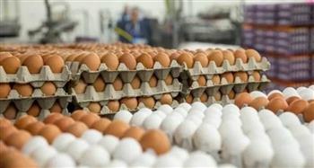 «الزراعة» تطرح كميات من بيض المائدة بأسعار مخفضة عبر منافذها بالمحافظات