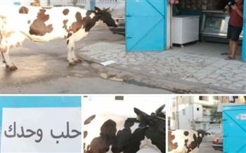 احلب وحدك.. تونسي يبيع الحليب بأغرب حيلة ويشعل مواقع التواصل «فيديو»