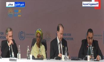 رئيس الوزراء: الدول الأفريقية الأكثر تأثرا بالتغيرات المناخية (فيديو)
