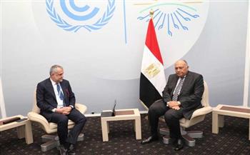 وزير الخارجية: مصر حريصة على تنفيذ وعود مؤتمر المناخ