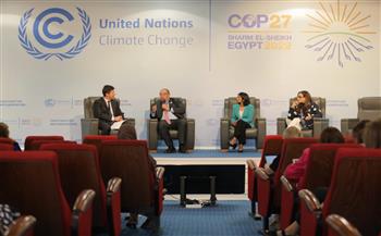  محمود محيي الدين: ضرورة التخطيط الجيد لمشروعات المناخ القابلة للاستثمار