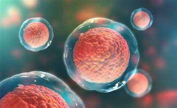الخلايا الجذعية تعالج سرطان الدم والغدد اللمفاوية