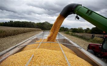 بيلاروسيا توافق على عبور صادرات الحبوب الأوكرانية عبر أراضيها