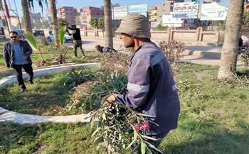 حملات نظافة ورفع المخلفات الزراعية بمحافظتي كفر الشيخ والدقهلية