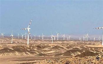أخبار عاجلة في مصر اليوم .. الدولة تشيّد واحدة من أكبر مزارع الرياح في العالم