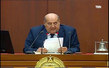 مجلس الشيوخ يوافق مبدئيا على مشروع قانون "إنشاء صندوق مصر الرقمية"