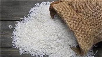 «تموين كفر الشيخ»: توريد 38 ألفا و440 طنا من أرز الشعير لـ21 موقعًا