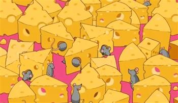 %1 فقط عثروا على النرد بين الفئران وقطع الجبن بـ11 ثانية.. فهل أنت منهم؟