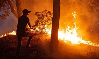 مصرع شخص وإصابة خمسة آخرين جراء حريق غابات في شيلي