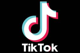 برلمانية تطالب وزير الاتصالات بإغلاق تطبيق «تيك توك» بسبب الإساءة للآداب العامة