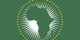 مجلس التضامن يدعم انضمام الاتحاد الأفريقي إلى مجموعة العشرين