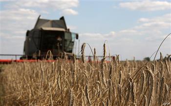 أوكرانيا: تصدير أكثر من مليون طن من القمح للدول الأفريقية خلال ديسمبر الحالي