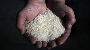 "تموين الدقهلية": توريد أكثر من 91 ألف طن أرز شعير حتى الآن