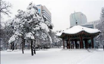 إلغاء مئات الرحلات الجوية فى كوريا الجنوبية بسبب الثلوج
