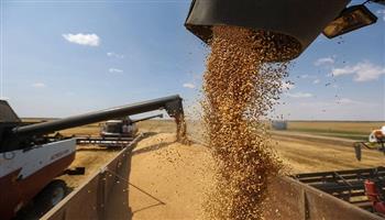 «صناعة الحبوب» تشيد بتوجيهات الرئيس بتحديد سعر عادل للقمح المحلي الموسم المقبل