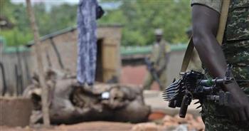 الجيش النيجيري يعلن عن مصرع 44 مسلحا من جماعة بوكو حرام فى شمالي البلاد