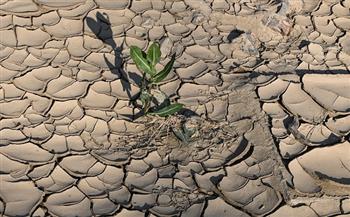 "الفاو" تدعو إلى تعاون عراقي - دولي لمعالجة آثار شح المياه والجفاف نتيجة التغير المناخي