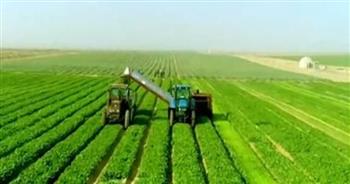 «الزراعة في كل مصر».. انفوجراف وفيديو عن أنشطة المديريات بالمحافظات خلال أسبوع