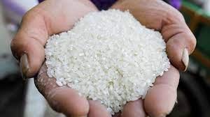 محافظ الشرقية: توريد أكثر من 61 ألف طن من الأرز الشعير لمواقع التجميع