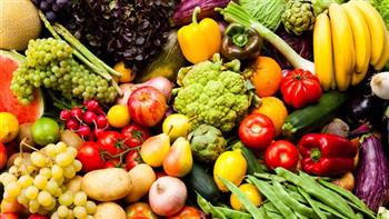 القومي للبحوث: 6 ملايين طن إجمالي الصادرات المصرية من الخضروات والفاكهة