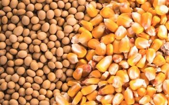 «الزراعة»: ضبط 189 طنا من الذرة والصويا مجهولة المصدر بالقليوبية
