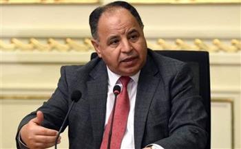 وزير المالية يعلن انضمام مصر لمؤسسة «التمويل الأفريقية»