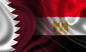 مباحثات مصرية قطرية لتعزيز فرص الاستثمار بالمنظومة الصحية