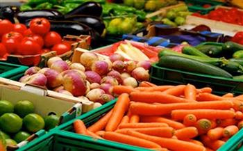 محافظ الإسماعيلية: «48.38 مليون طن إجمالي قيمة الصادرات الزراعية للمحافظة حتى نوفمبر الماضي»