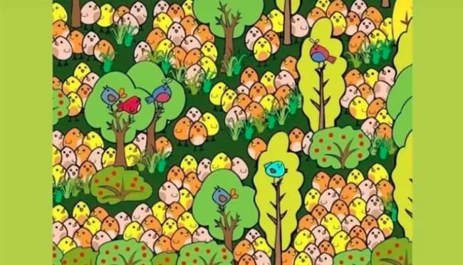 تحدٍ جديد.. كيف يمكنك إيجاد البيضة المخفية وسط الكتاكيت في 9 ثوان؟