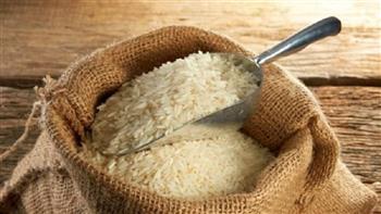 تموين الغربية: توريد 48 ألف طن أرز شعير حتى الآن
