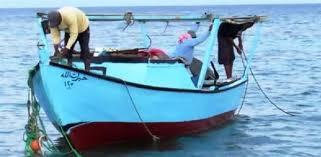  «سلامة الغذاء»: جاري تسجيل مراكب صيد الأسماك ونعمل على فتح التصدير لأوروبا