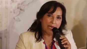 المملكة المتحدة تؤكد دعم شعب ورئيسة بيرو الجديدة دينا بولوارت