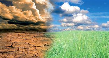 استشاري التغيرات المناخية: الانبعاثات الكربونية تؤثر على الإنتاج الزراعي والصناعي