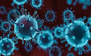 السعودية تسجل 2227 إصابة جديدة بفيروس كورونا 