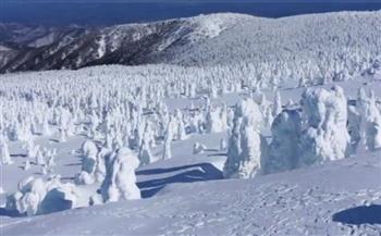 «الوحوش الجليدية».. ظاهرة تثير الحيرة في اليابان (فيديو) 