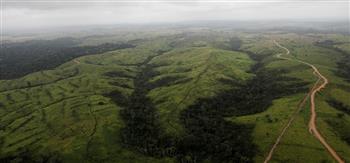 البرازيل: مساحات شاسعة من غابات الأمازون المطيرة اختفت الشهر الماضي