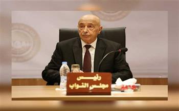 رئيس مجلس النواب الليبي يدعو لعدم التفريط في منجزات التقارب والسلام