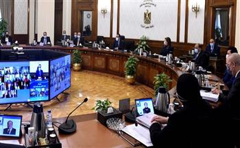 650 جنيها .. الوزراء : تعديل أسعار تحليل السفر الـPCR للمصريين والأجانب 
