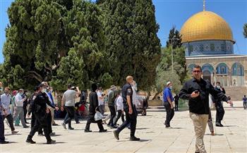 عشرات المستوطنين يقتحمون المسجد الأقصي تحت حراسة قوات الاحتلال الإسرائيلي 