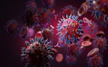 الصحة الكويتية: تسجيل 6592 إصابة جديدة بفيروس "كورونا" 