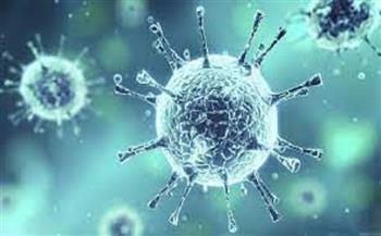 كوريا الجنوبية تسجل 104,829 إصابة يومية بفيروس كورونا