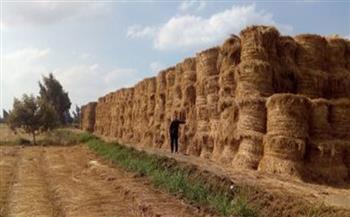 خبير اقتصادي: مصر أول دولة إفريقية وشرق أوسطية تنتج ألواح الخشب من قش الأرز