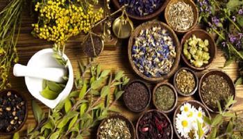 العلاج بالأعشاب والطب البديل.. سلاح ذو حدين