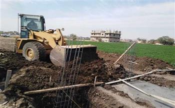 الأقصر: إزالة 10 حالات تعد على أراض زراعية بمركز ومدينة أرمنت