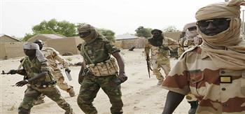 10  قتلى على الأقل في هجمات في غرب النيجر قرب الحدود مع مالي 