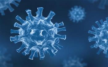 سلطنة عمان تسجل 974 إصابة جديدة بفيروس كورونا 